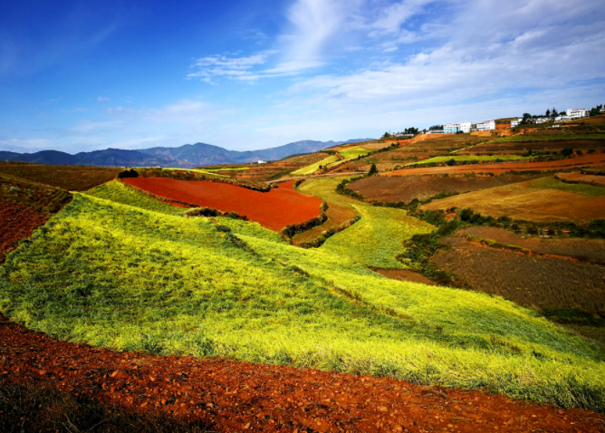 如何使用土壤酸堿度測量儀？